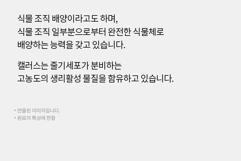 제나벨_에델바이스_상세페이지(780)_220701_HE_06