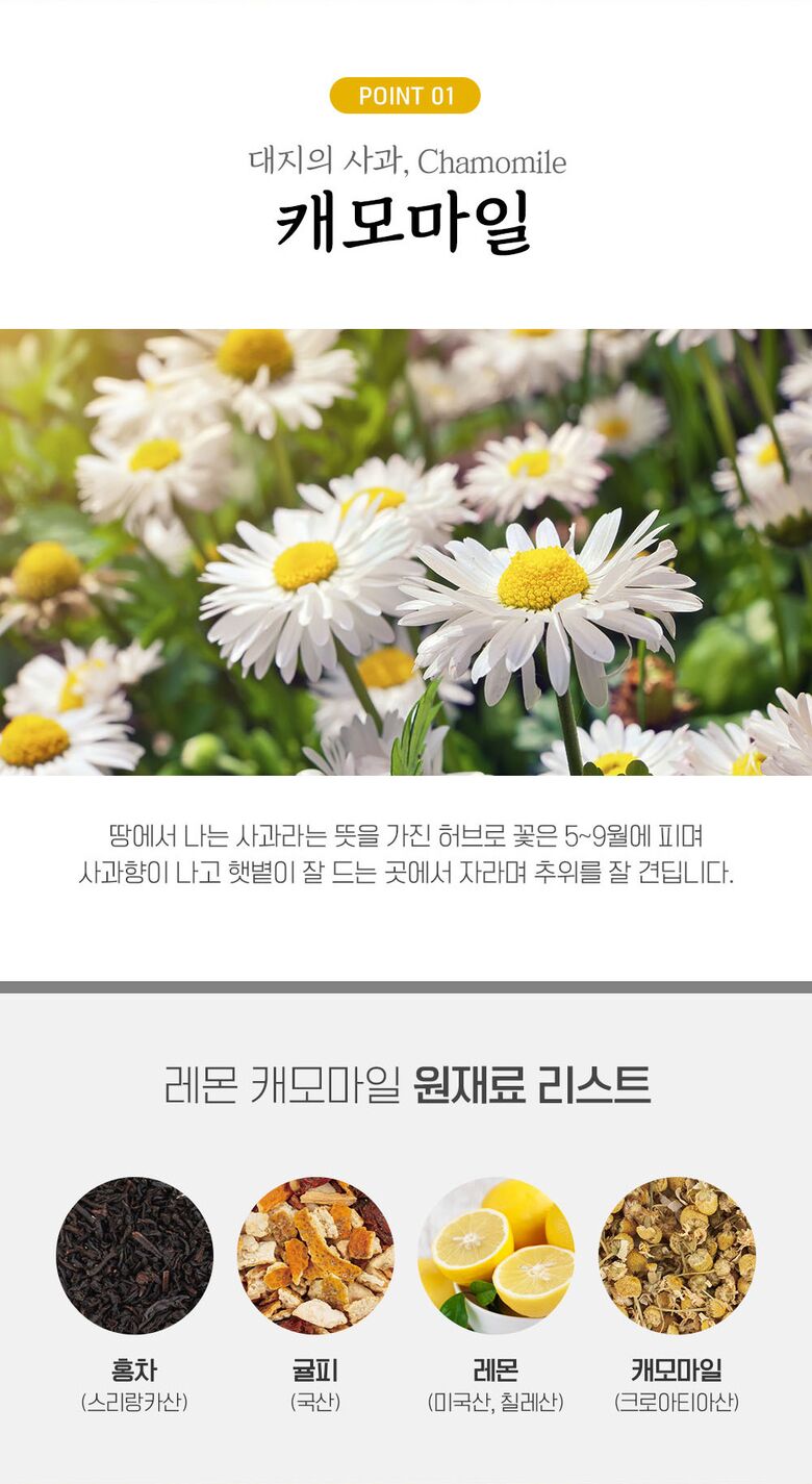 %ED%8C%8C%EC%9A%B0%EC%B9%98444.jpg