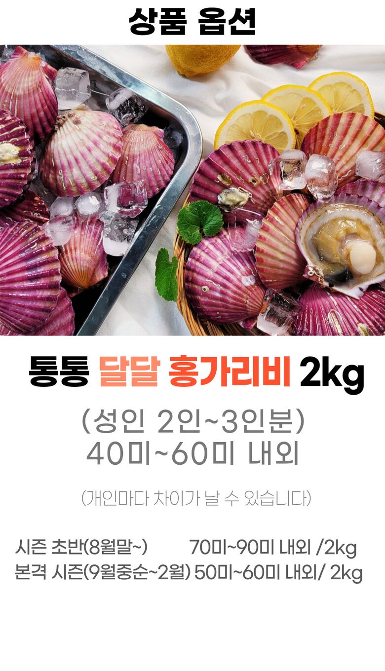 001_고성_홍가리비 (7).jpg