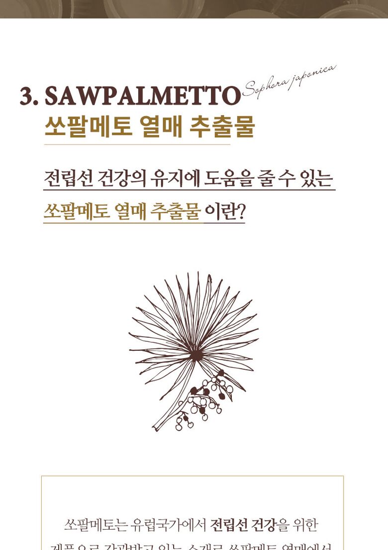 쏘팔메토-20210611-엘케이_06