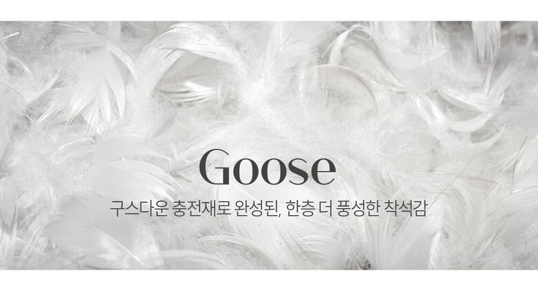 구스 (1)