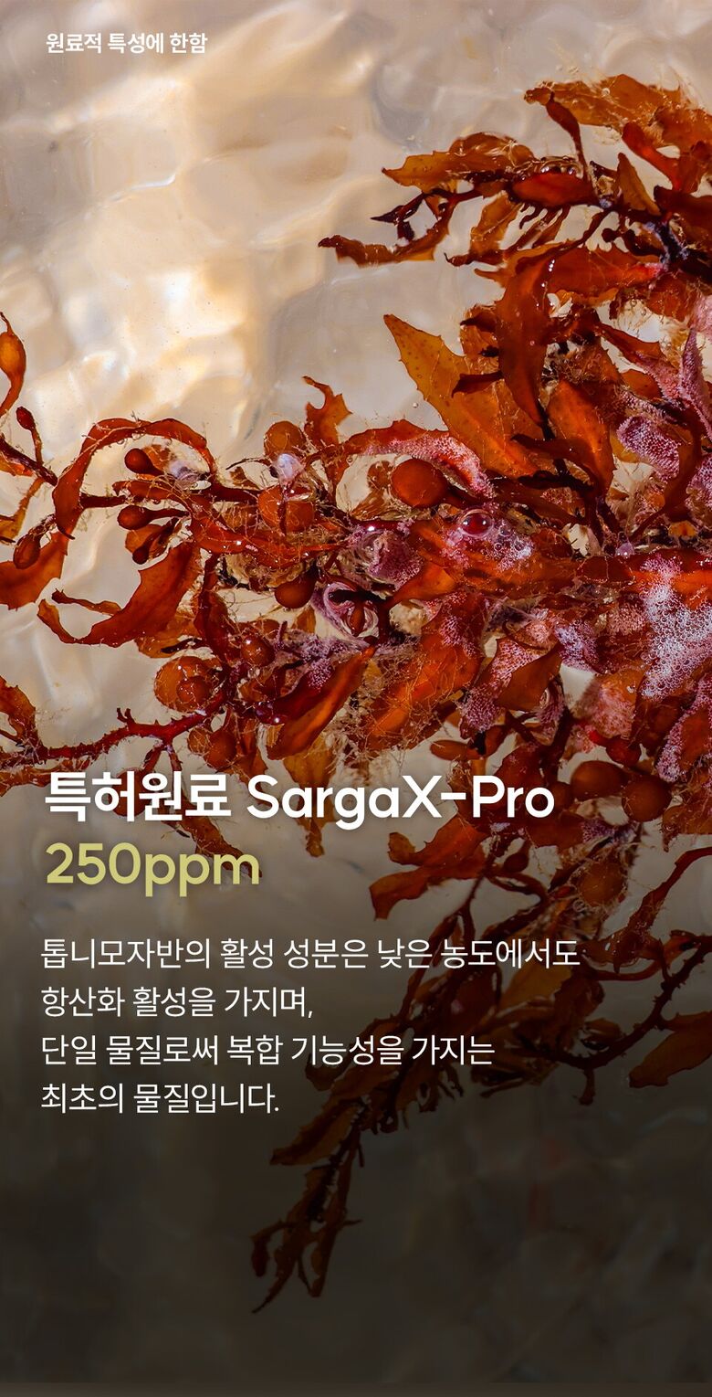 닥토브-아이크림-B_01