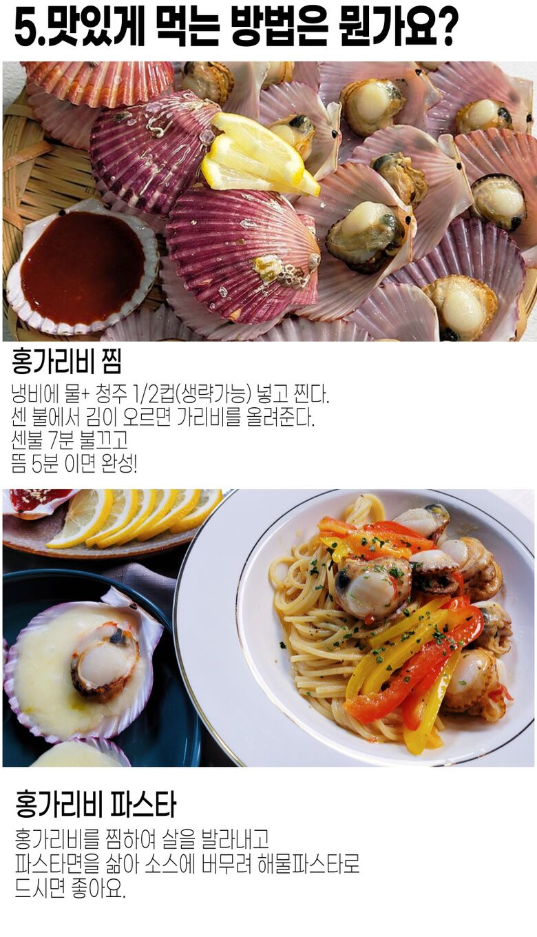 001_고성_홍가리비 (13).jpg