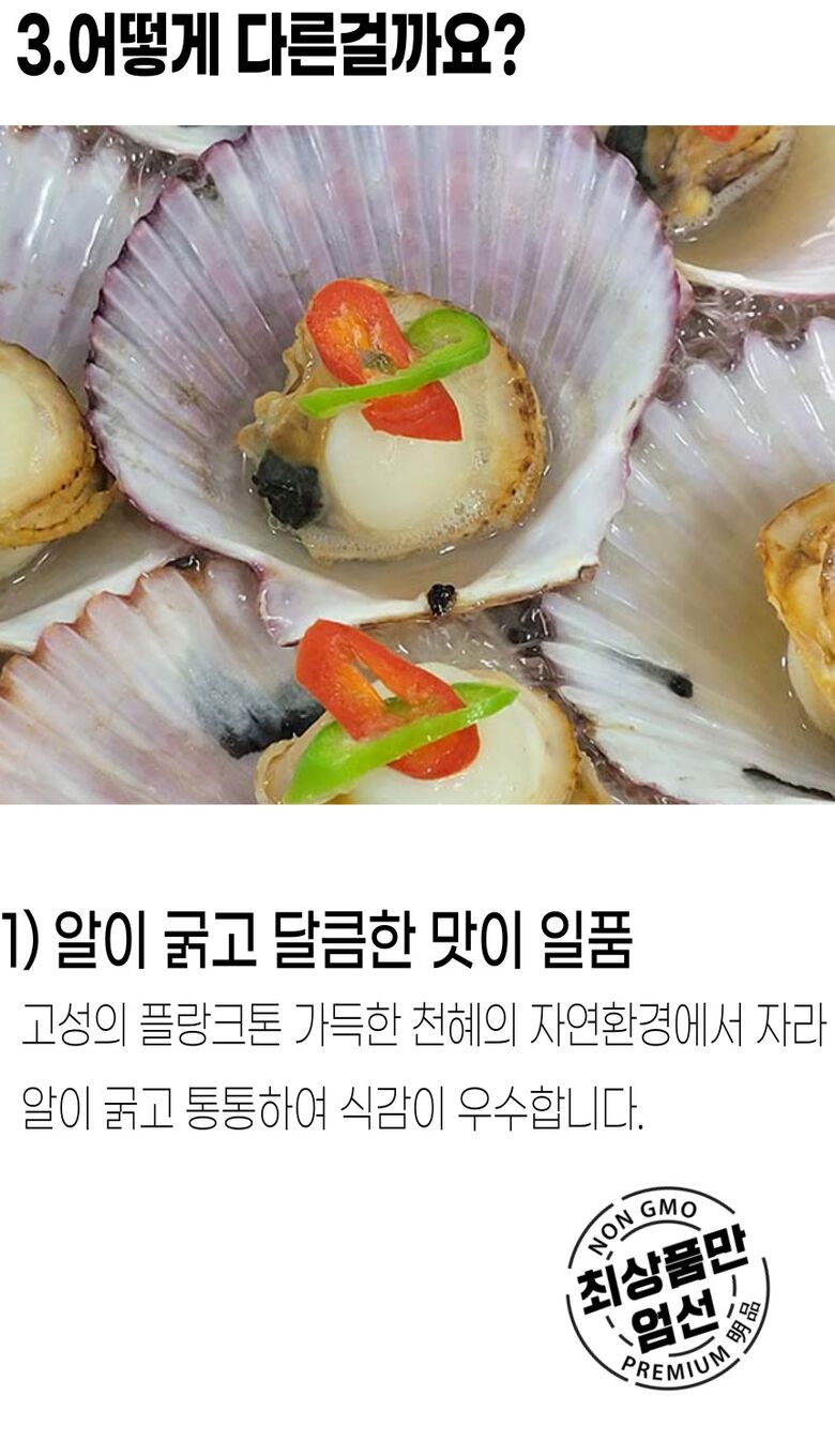 001_고성_홍가리비 (8).jpg